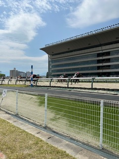 IMG_7723.jpeg